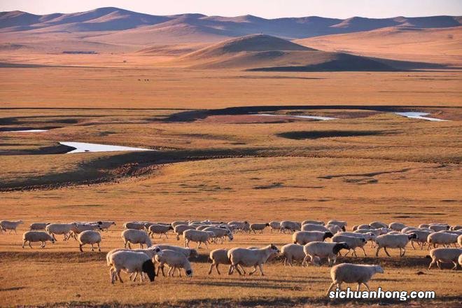 一生总该有一次，去内蒙古过秋天