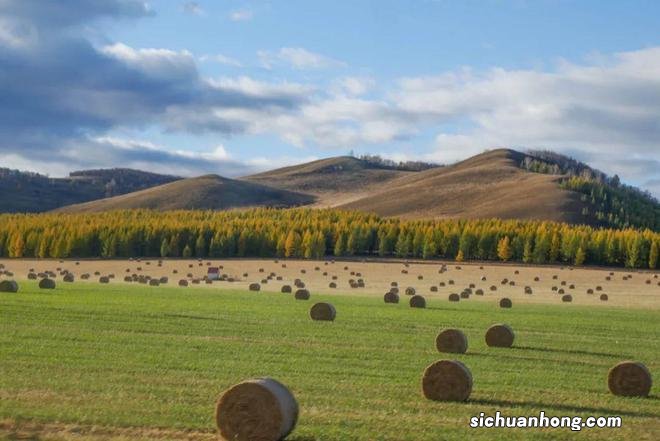 一生总该有一次，去内蒙古过秋天