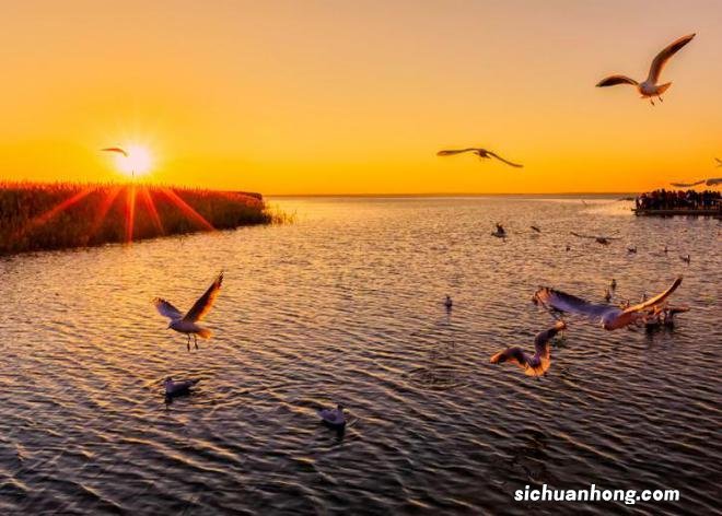 一生总该有一次，去内蒙古过秋天