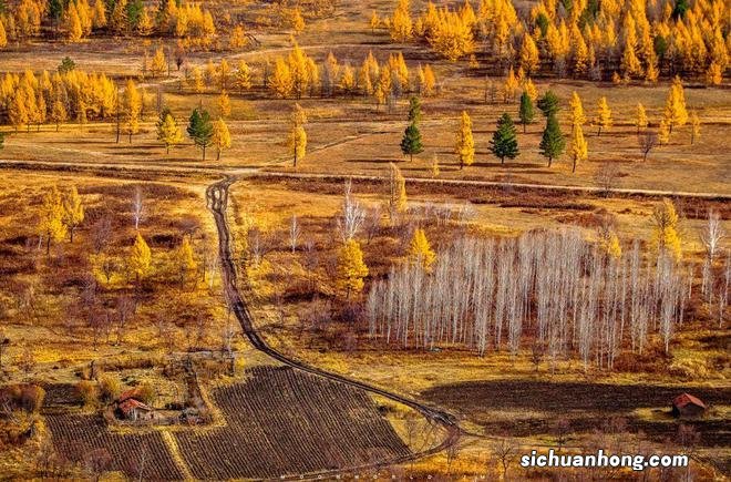 一生总该有一次，去内蒙古过秋天
