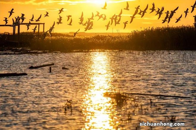 一生总该有一次，去内蒙古过秋天