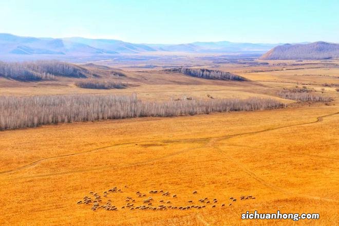 一生总该有一次，去内蒙古过秋天