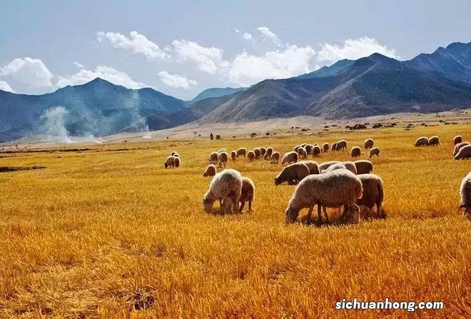 一生总该有一次，去内蒙古过秋天