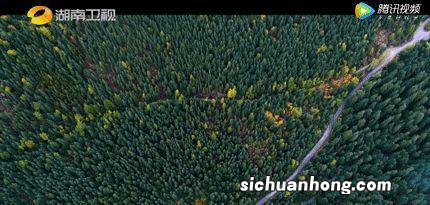 一生总该有一次，去内蒙古过秋天