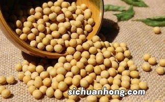 冻黄豆能存放多久