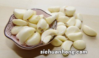 什么季节适合种大蒜? 大蒜什么季节种植合适