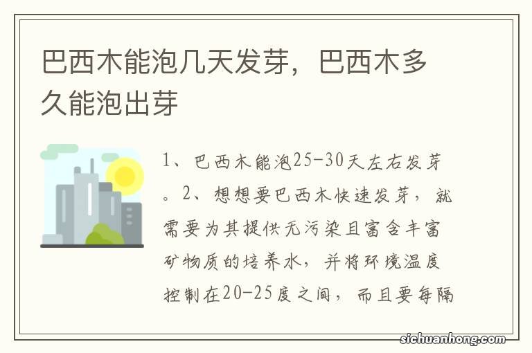 巴西木能泡几天发芽，巴西木多久能泡出芽