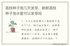 荔枝种子泡几天发芽，新鲜荔枝种子泡水里可以发芽吗