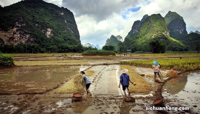 一亩地用多少生石灰最好 生石灰撒地里的作用