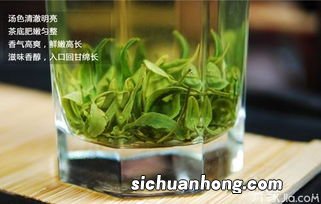 云雾茶含什么多