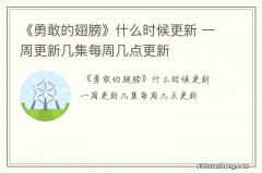 《勇敢的翅膀》什么时候更新 一周更新几集每周几点更新