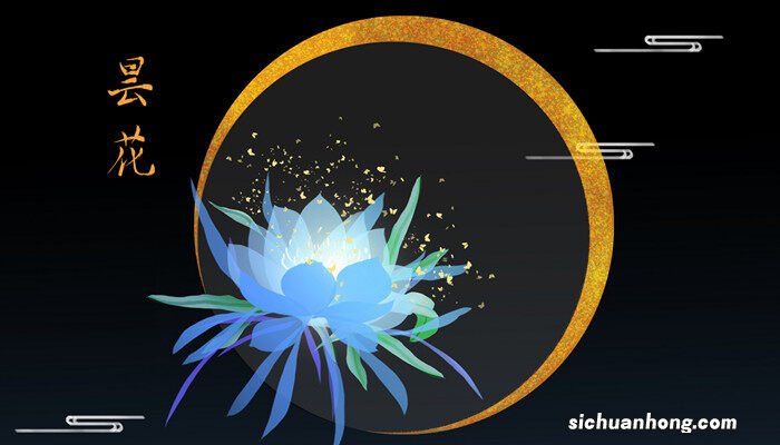 昙花开完之后怎么处理好 昙花开完之后怎么处理