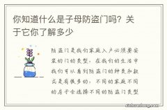 你知道什么是子母防盗门吗？关于它你了解多少