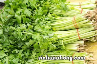 芹菜多久消化完全