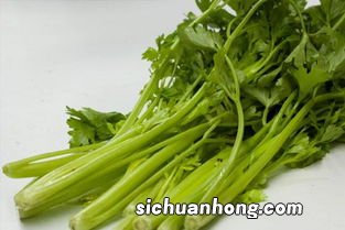 芹菜多久消化完全