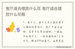 客厅适合摆放什么花 客厅适合摆放什么花瓶