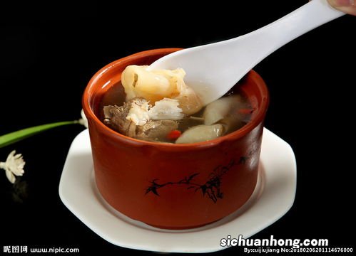 花胶炖乳鸽放什么材料