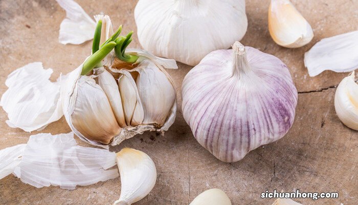 大葱种植时间和方法 分葱的种植方法和时间