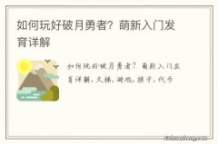 如何玩好破月勇者？萌新入门发育详解