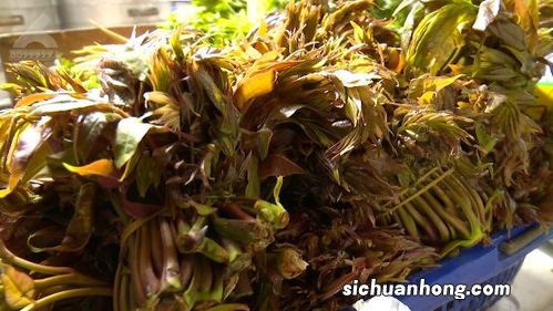 花草头是什么菜