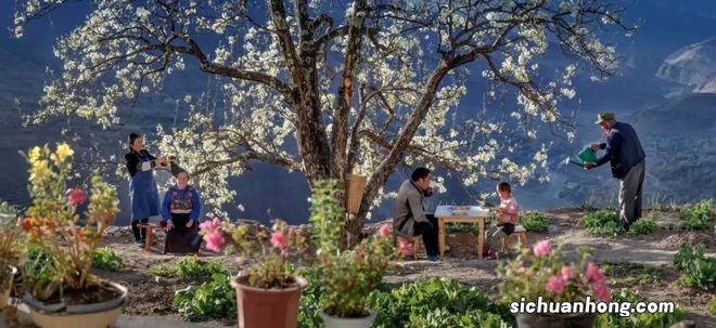 去过这里以后才发现,九寨沟也只不过是天堂的一角