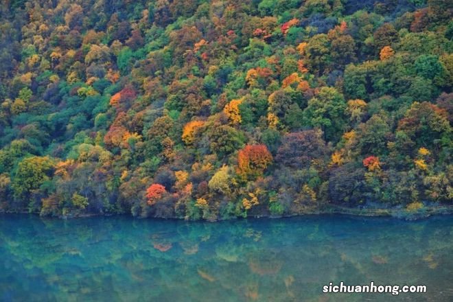 去过这里以后才发现,九寨沟也只不过是天堂的一角