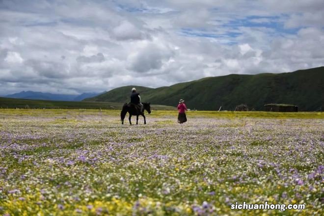 去过这里以后才发现,九寨沟也只不过是天堂的一角