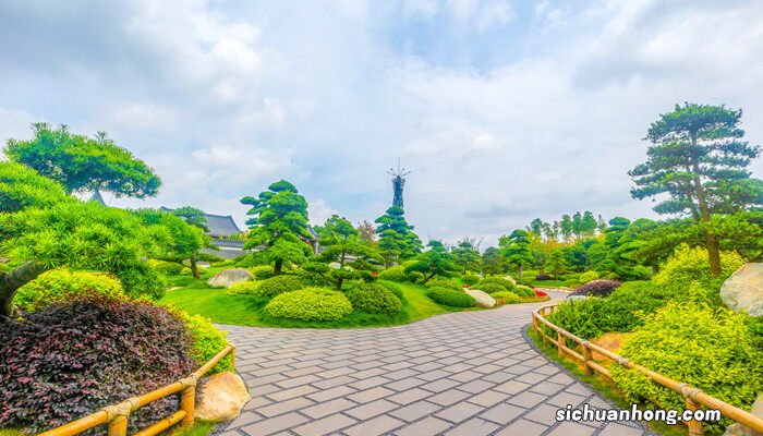 树的种类有哪些介绍一下 树的种类有哪些