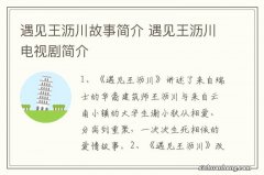 遇见王沥川故事简介 遇见王沥川电视剧简介