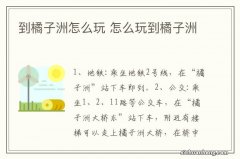 到橘子洲怎么玩 怎么玩到橘子洲