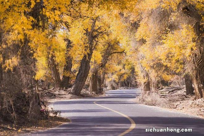 国内醉美赏秋地,每一帧都是壁纸大片!