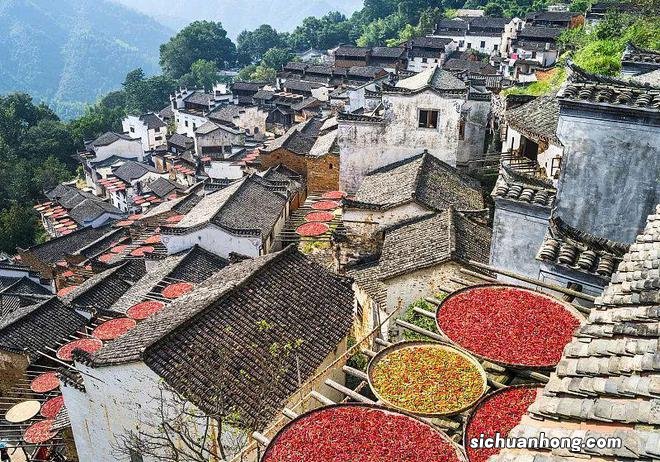 国内醉美赏秋地,每一帧都是壁纸大片!