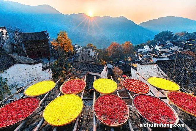 国内醉美赏秋地,每一帧都是壁纸大片!