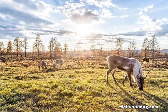 国内醉美赏秋地,每一帧都是壁纸大片!