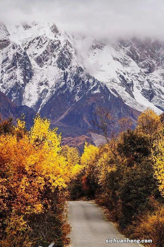 国内醉美赏秋地,每一帧都是壁纸大片!