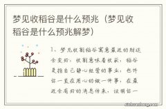 梦见收稻谷是什么预兆解梦 梦见收稻谷是什么预兆