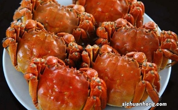 如何煮出美味的大闸蟹？煮大闸蟹需要注意什么？