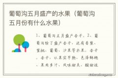 葡萄沟五月份有什么水果 葡萄沟五月盛产的水果