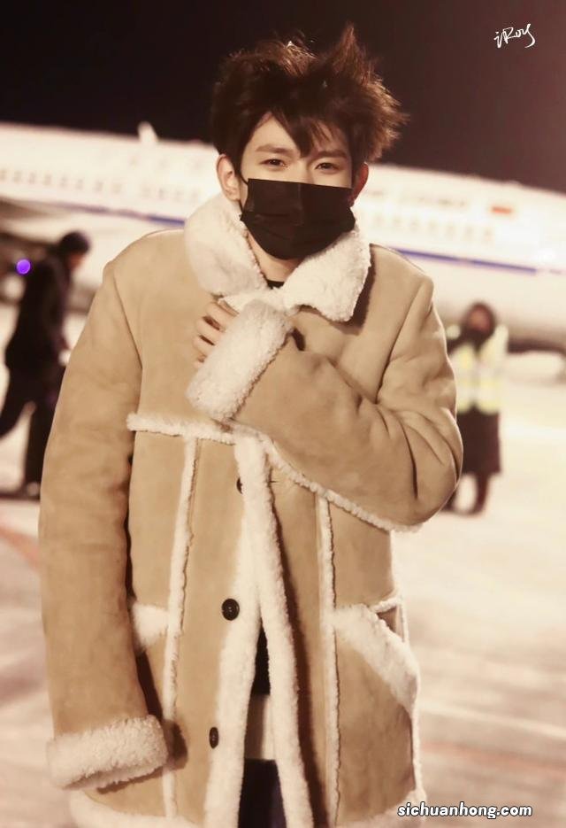 为什么猫穿衣服就不会走路