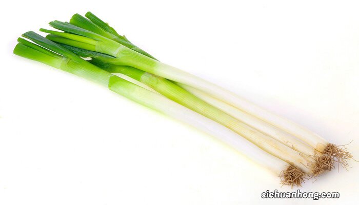 大葱怎么种植方法视频 大葱怎么种