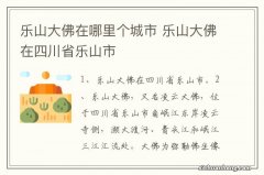 乐山大佛在哪里个城市 乐山大佛在四川省乐山市