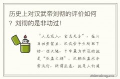 历史上对汉武帝刘彻的评价如何？刘彻的是非功过！