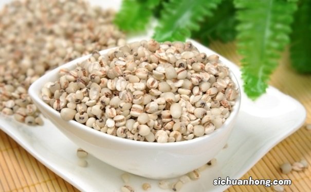 夏季祛湿吃什么好?夏季祛湿的的食物有哪些?