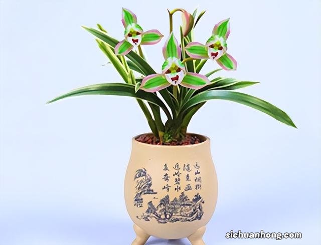 高铁可以带腊肉吗现在