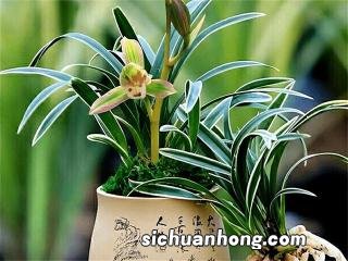 高铁可以带腊肉吗现在