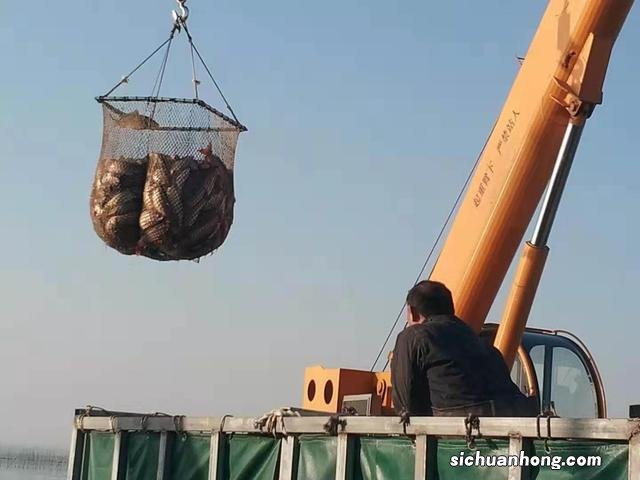 江南百景图金华火腿在哪兑换