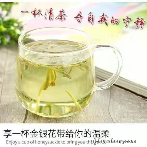 胎菊配什么绿茶