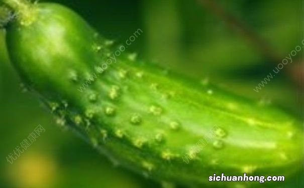 护肤养颜食补方法有哪些?护肤养颜要注意一下哪些事情?