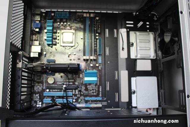 宠物猫为什么不能喝牛奶