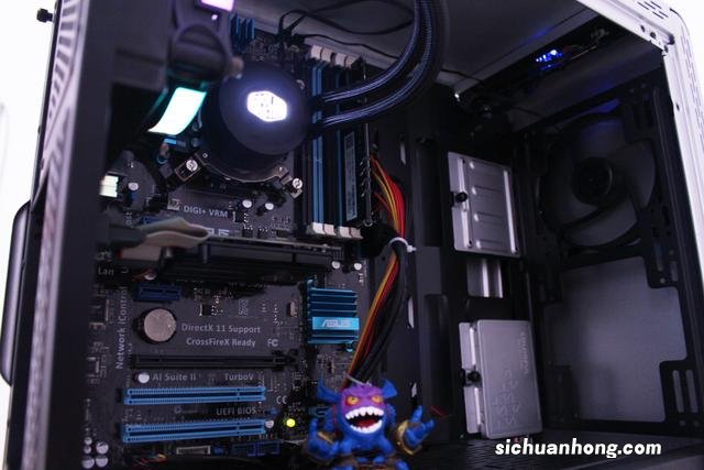 宠物猫为什么不能喝牛奶